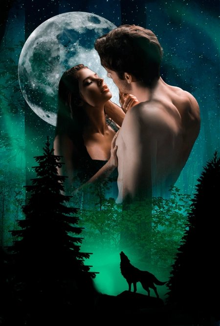 Cover of Maine (Wolfstate Chronicles)