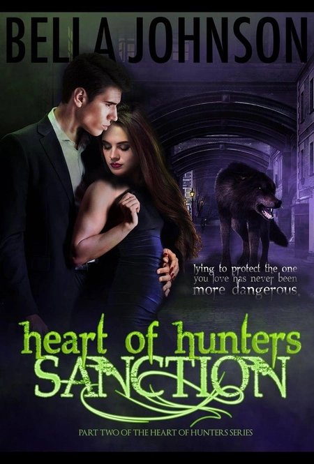 Sanction (Heart Hunter Series Book 2)