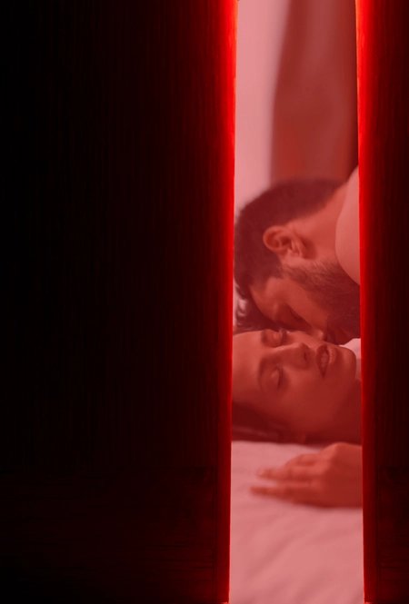 Cover of Through the Red Door